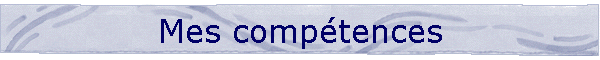 Mes comptences